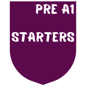 Pre A1 Starters - 07/11/2026 - Link Exclusivo Colegio Norbridge Del Viso